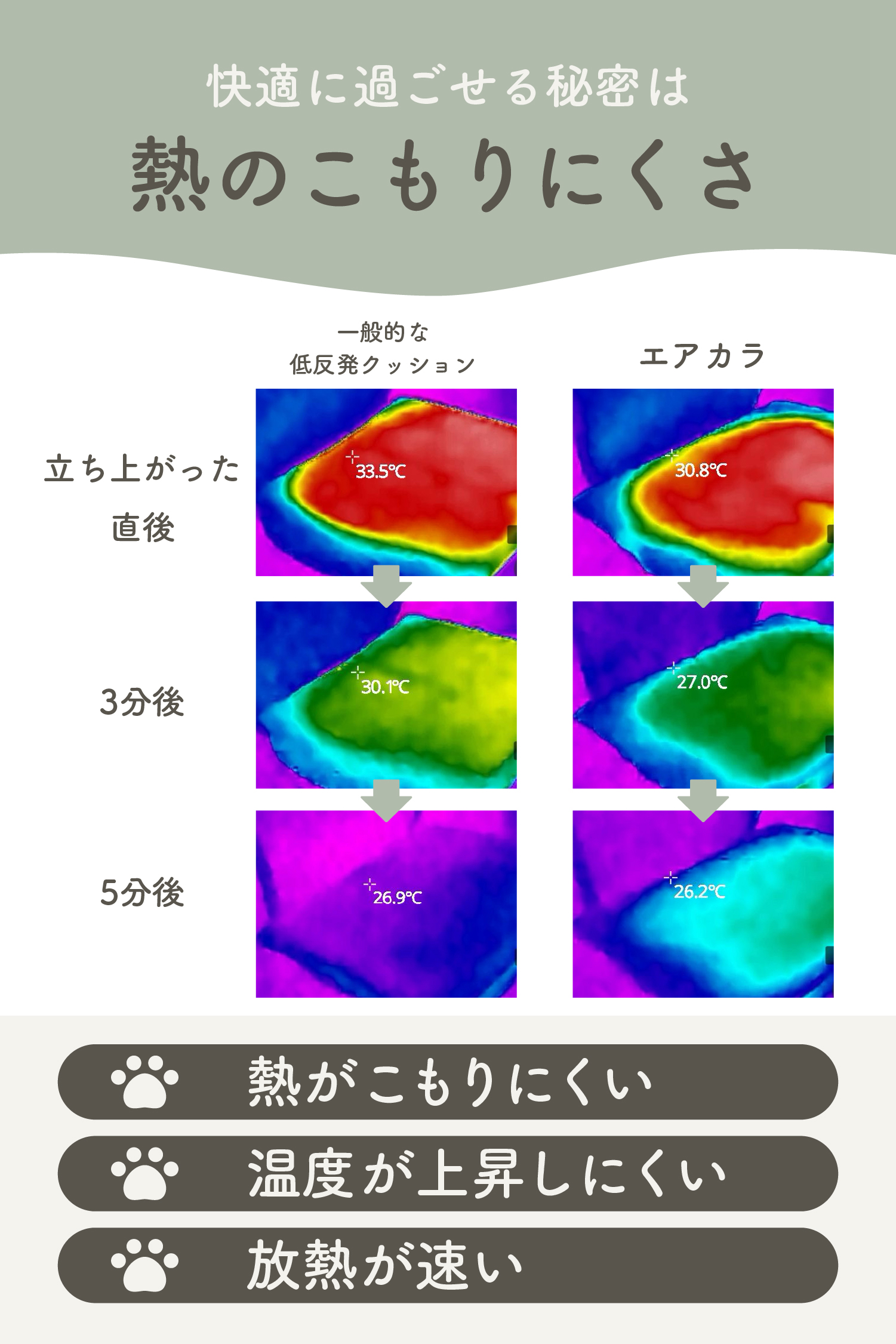 一般的なマットと比較した体温上昇テスト ペット用クッションは熱がこもりにくい